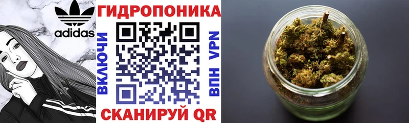 Какие есть наркотики Барыш Конопля Меф мяу мяу Альфа ПВП Псилоцибиновые грибы Гашиш