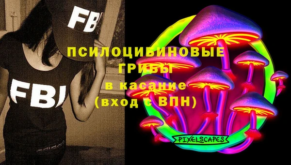 индика Кодинск