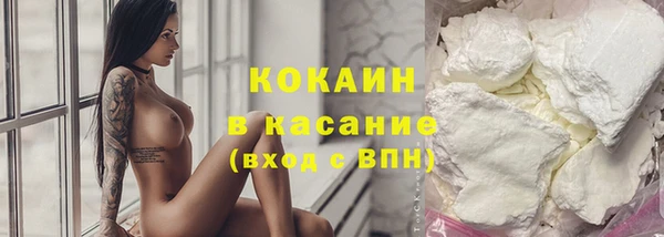 ешки Арсеньев