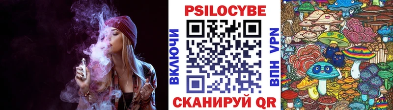 Псилоцибиновые грибы Psilocybe  KRAKEN маркетплейс  Барыш 